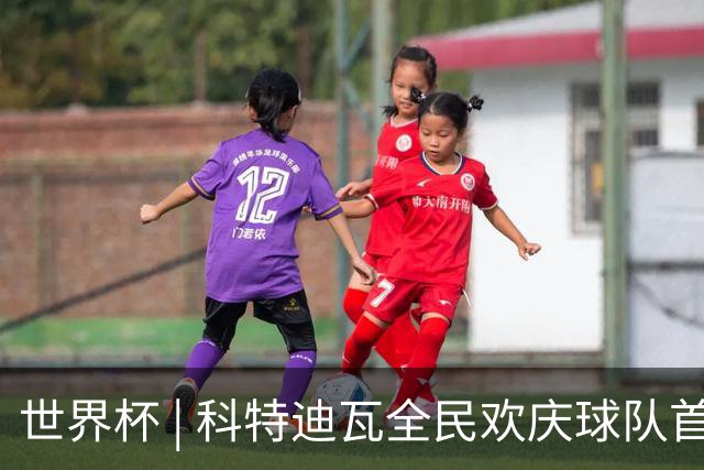世界杯 | 科特迪瓦全民欢庆球队首进淘汰赛
