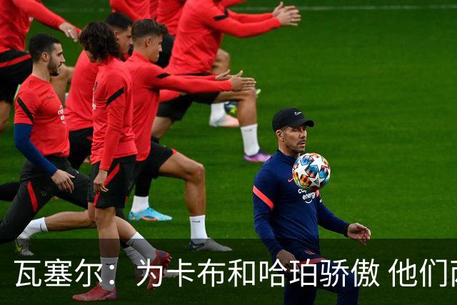 瓦塞尔：为卡布和哈珀骄傲 他们两个都有着不可限量的未来