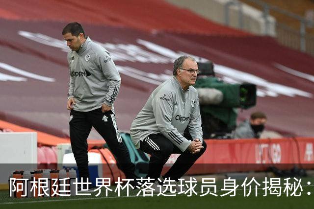 阿根廷世界杯落选球员身价揭秘：谁才是价值最高的遗珠？